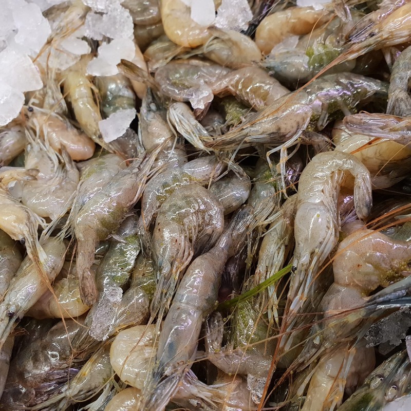 Fjordrejer 0,5 kg
